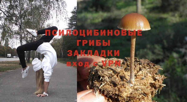 индика Алзамай