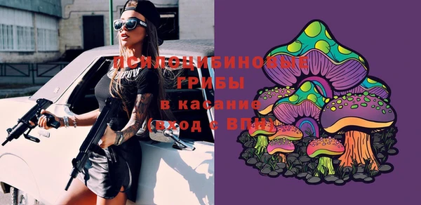 PSILOCYBIN Абаза
