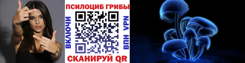 kraken зеркало  Пошехонье  Псилоцибиновые грибы Magic Shrooms  как найти закладки 